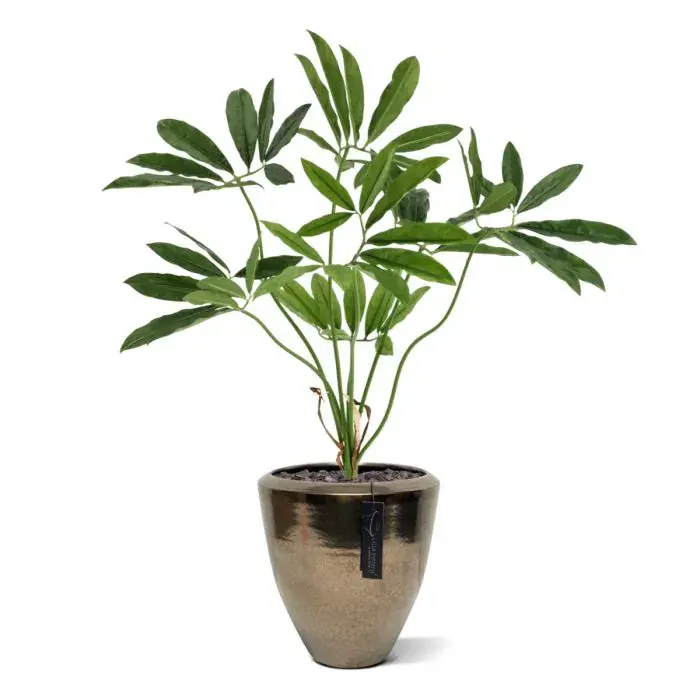 philodendron-fun-bun-kunstplant-80cm-deluxe-combination-image-1.webp