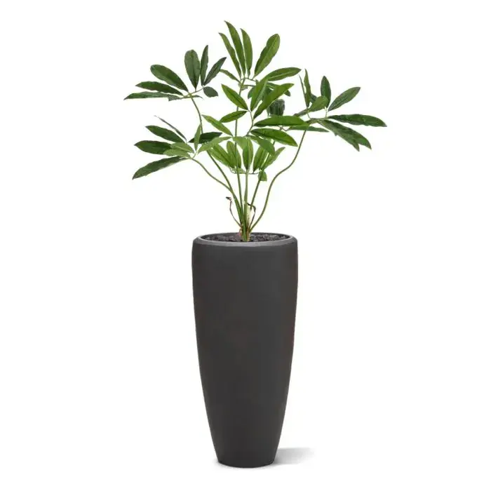 philodendron-fun-bun-kunstplant-80cm-deluxe-combination-image-6.webp