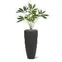 philodendron-fun-bun-kunstplant-80cm-deluxe-combination-image-6.webp