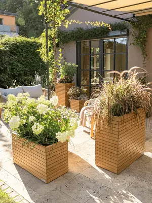 Lechuza Palo Natural Wood.webp