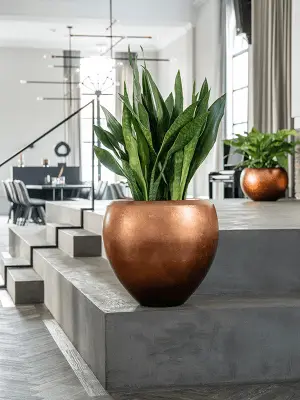 Mettalic couple matt copper 2.webp