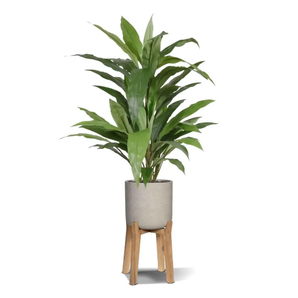 Draceana kunstplant 80 cm - groen 3.webp