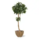 Vijgen kunstboom 210 6.webp