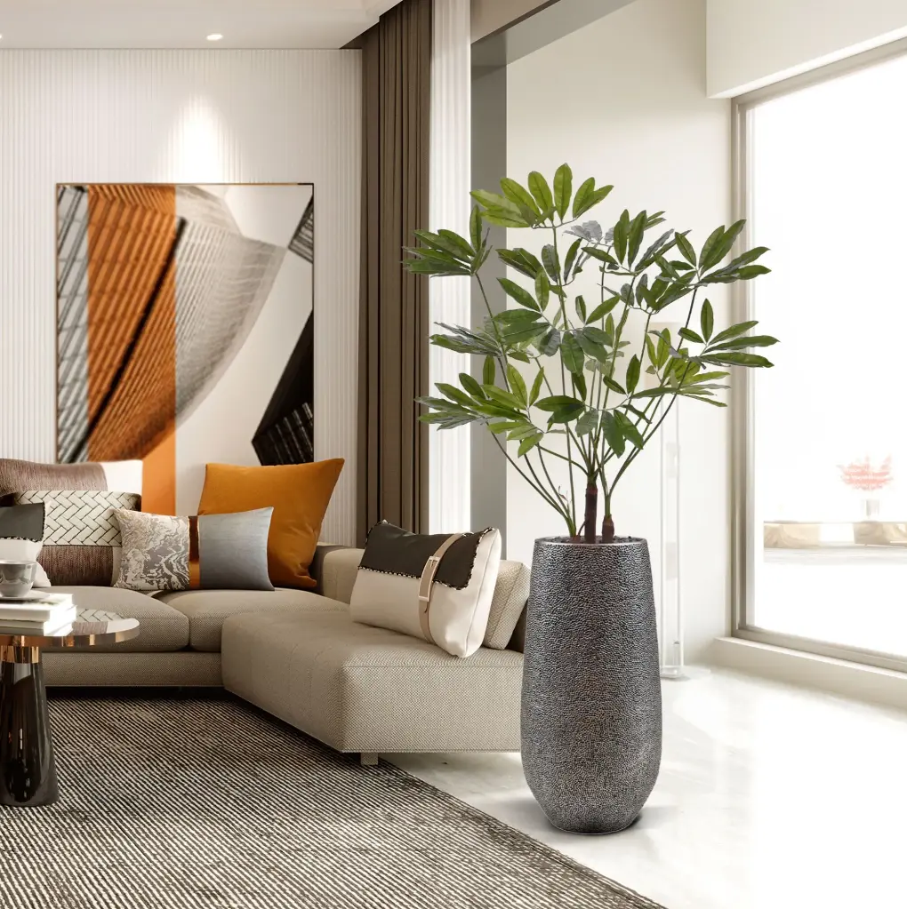 Philodendron Fun Bun 145 3.webp