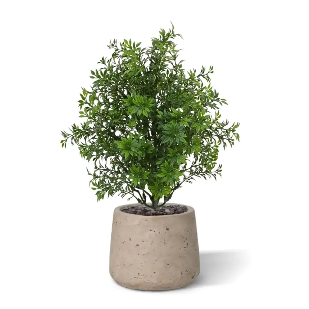 Eucalyptus 30 groen 2.webp