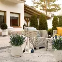 Lavendel bol blauw 2.webp