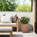 Lavendel bol wit 2.webp