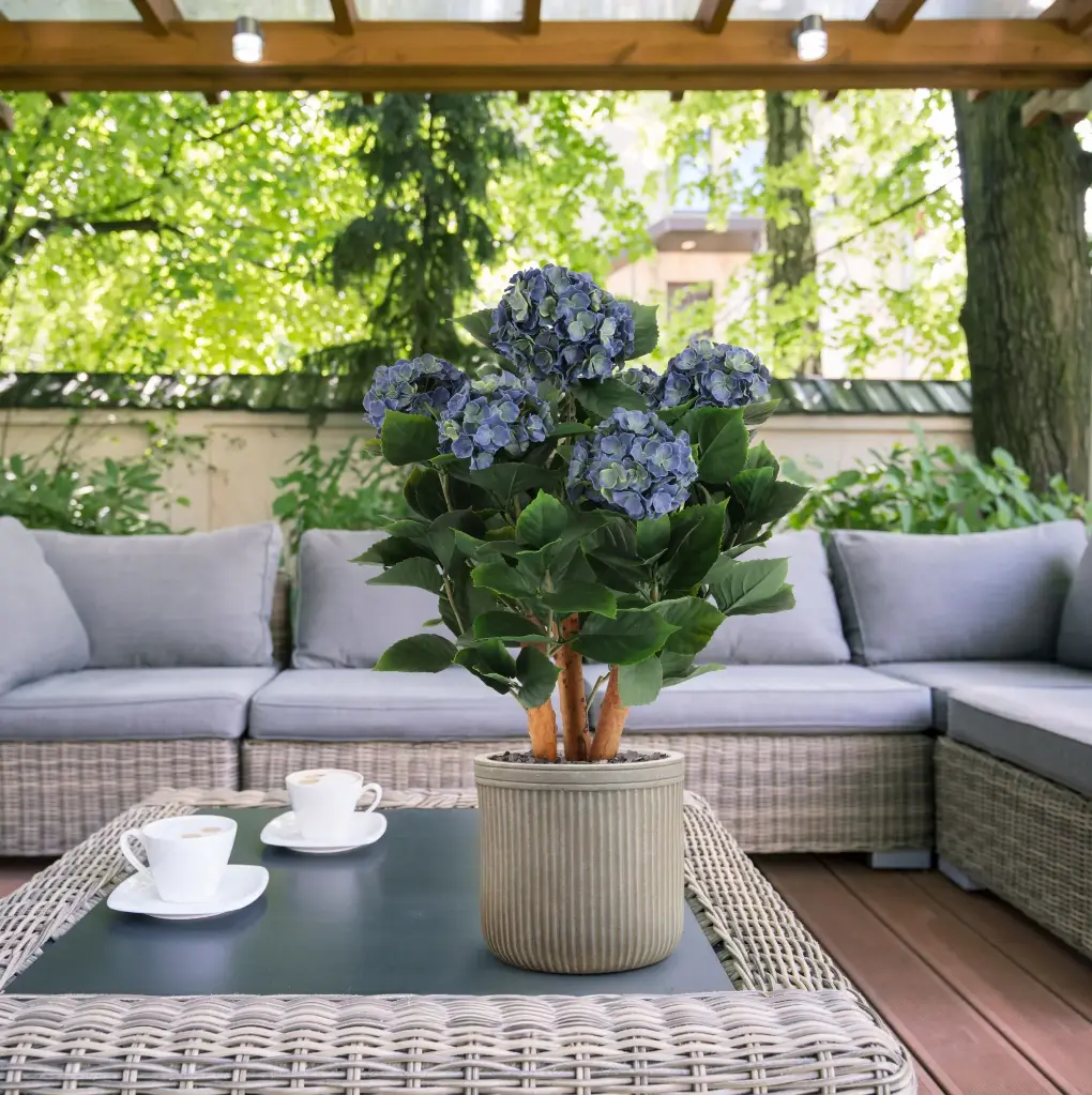 Hortensia Blauw 65 2.webp