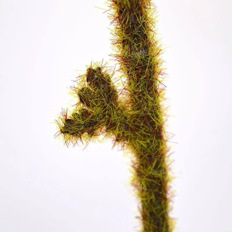 Ledervaren 90 3.webp