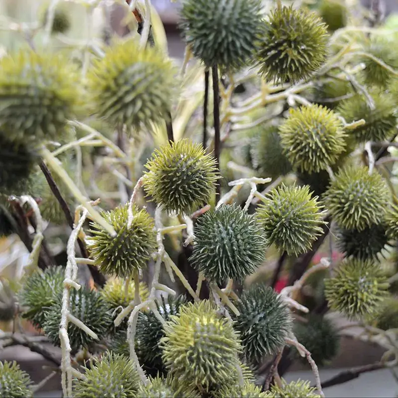 Distel 85 groen 3.webp