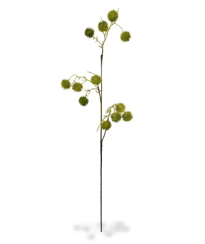 Distel 85 groen 2.webp