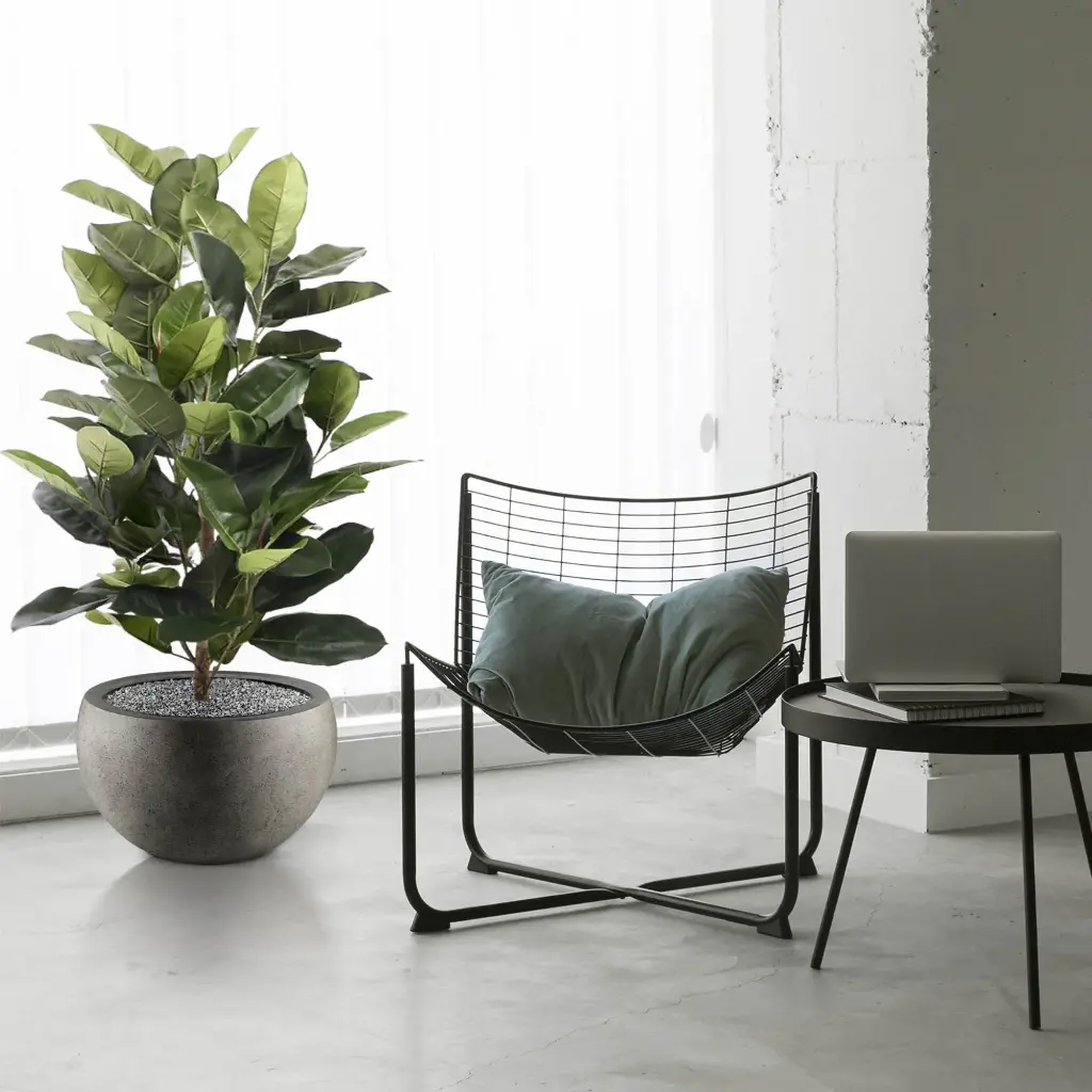 Elastica robusta 120 groen 2.webp