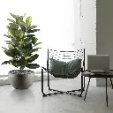 Elastica robusta 120 groen 2.webp