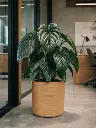 Dune - Cylinder - Brown 2.webp