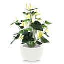Anthurium deluxe kunstplant 80cm - creme