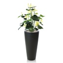 Anthurium deluxe kunstplant 80cm - creme