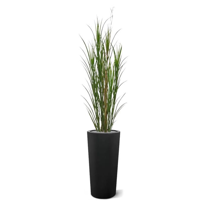 Kunst Rietgras plant deluxe 165cm - groen - UV bestendig