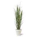 Kunst Rietgras plant deluxe 165cm - groen - UV bestendig