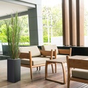Kunst Rietgras plant deluxe 165cm - groen - UV bestendig