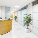 Chamaedorea kunstpalm deluxe 150
