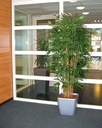 Bamboe deluxe kunstboom 210cm