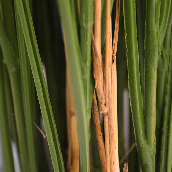 Kunst Grasplant 80cm - UV bestendig