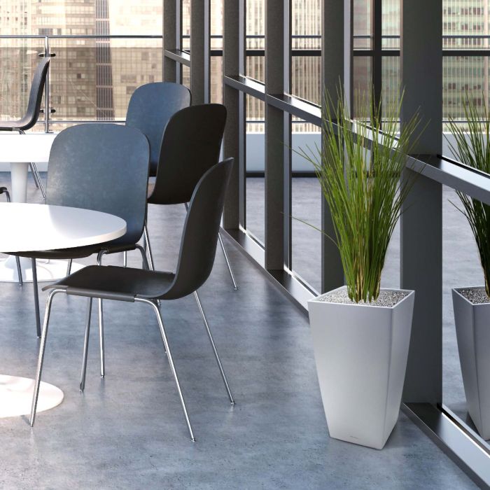 Kunst Grasplant 80cm - UV bestendig