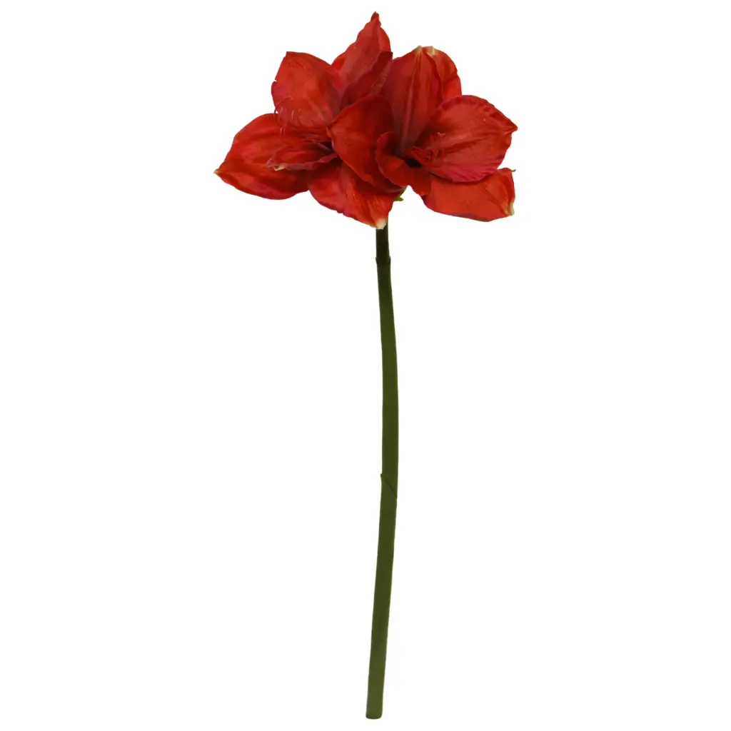 Amaryllis Kunstbloem 67cm Rood