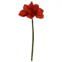 Amaryllis Kunstbloem 67cm Rood