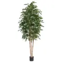 Ficus Exotica Kunstboom Deluxe 300cm groen