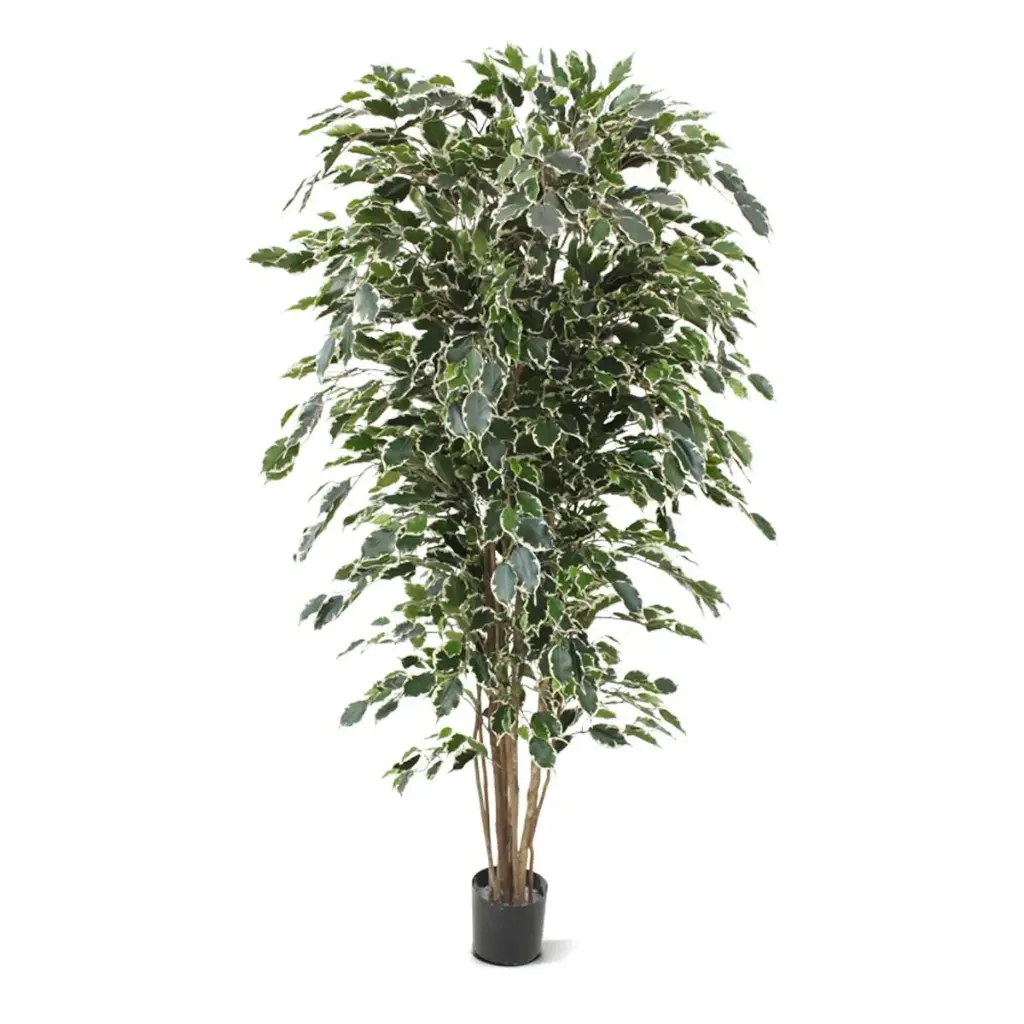 Ficus Exotica deluxe kunstboom 180cm - bont