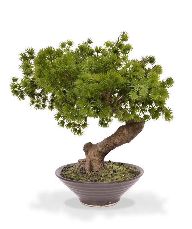 Pinus Bonsai kunstplant in schaal 40cm 