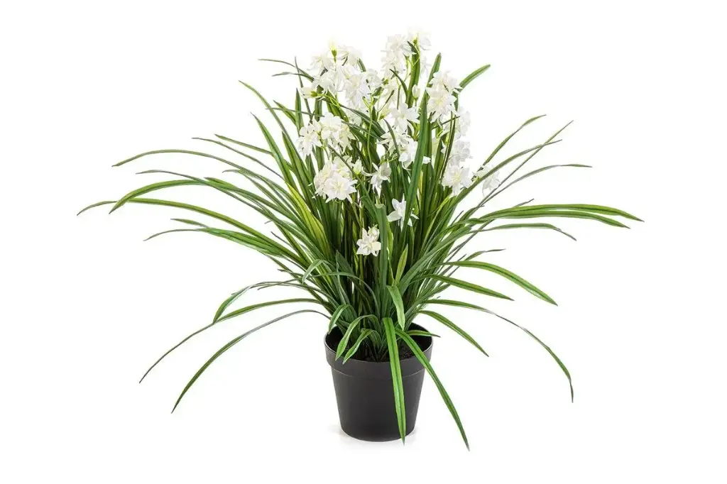 Wilde orchidee kunstplant wit - 85 cm