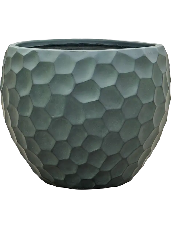 Tortuga - Couple - Green - 40 cm