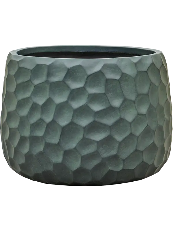 Tortuga - Darcy - Green - 39 cm