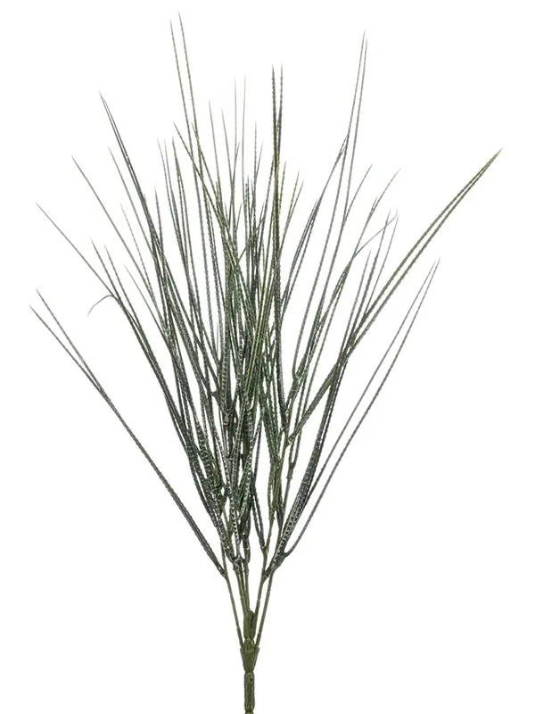Cytisus gras UV-bestendig 50 cm