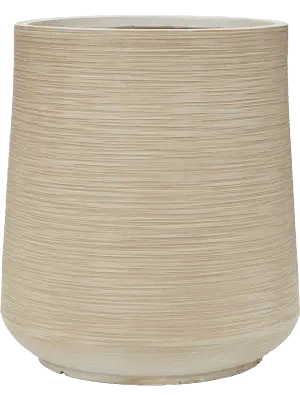 Dune - Darcy - Beige - 55 cm