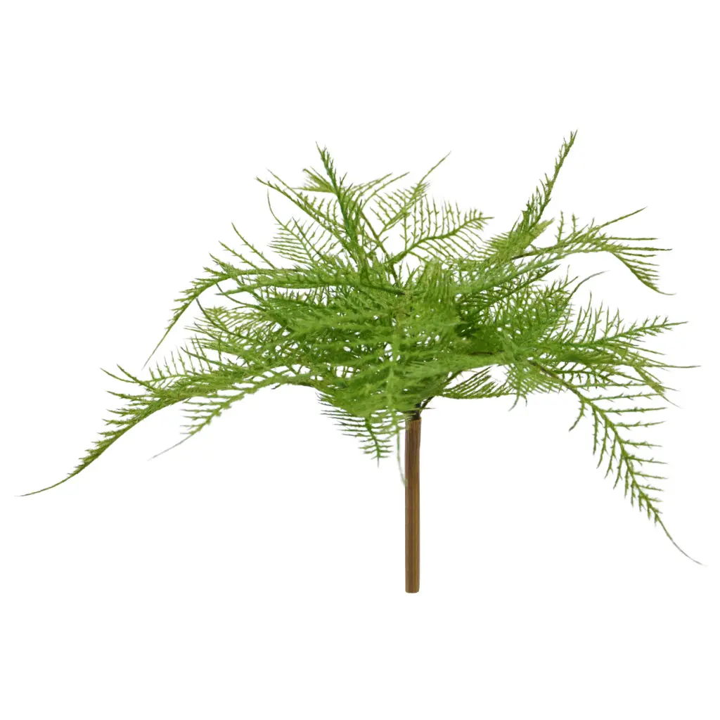 Asparagus Varen Kunstplant 30cm