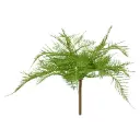 Asparagus Varen Kunstplant 30cm
