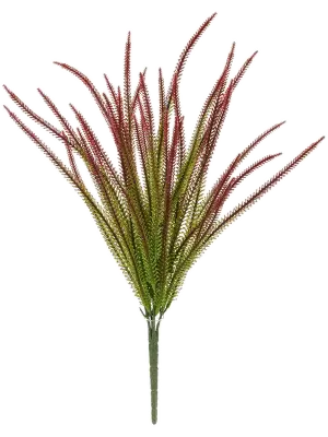 Grassplant rood 40 cm - FR