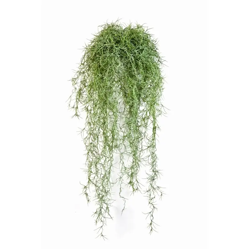 Long Hair kunstplant 80 cm - FR