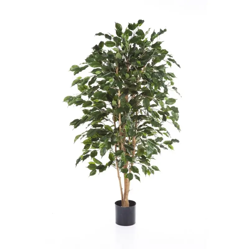 Ficus Exotica kunstplant 180 cm - FR