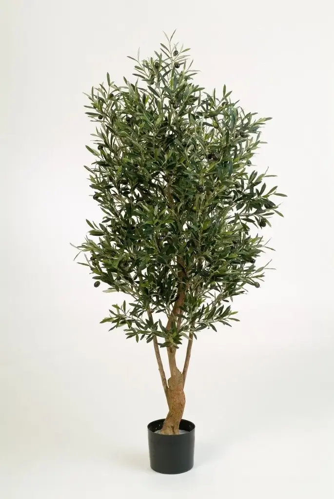 Olijf kunstplant 150 cm - FR