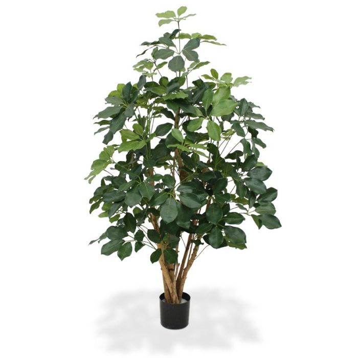 Schefflera Exotica kunstplant 120 cm - FR