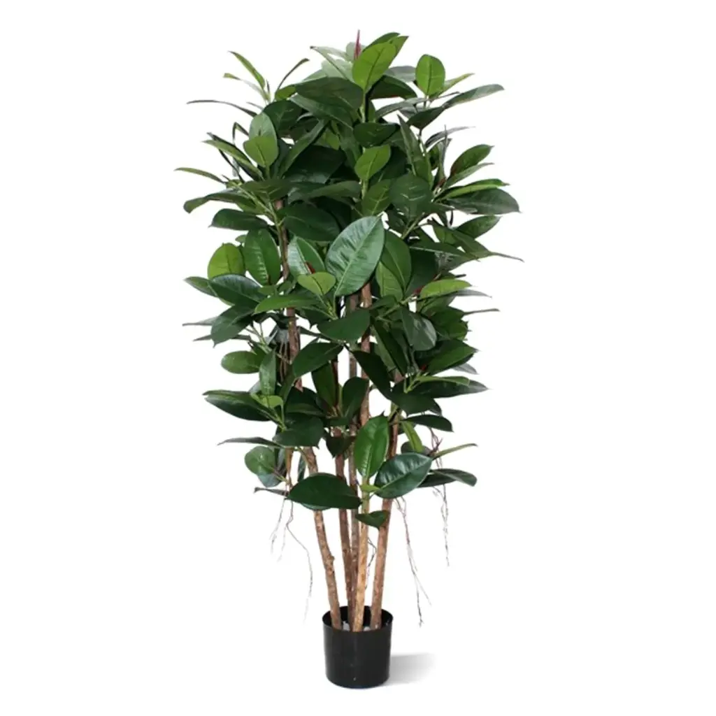Elastica Robusta deluxe kunstplant 155cm - FR