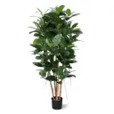 Elastica Robusta deluxe kunstplant 155cm - FR