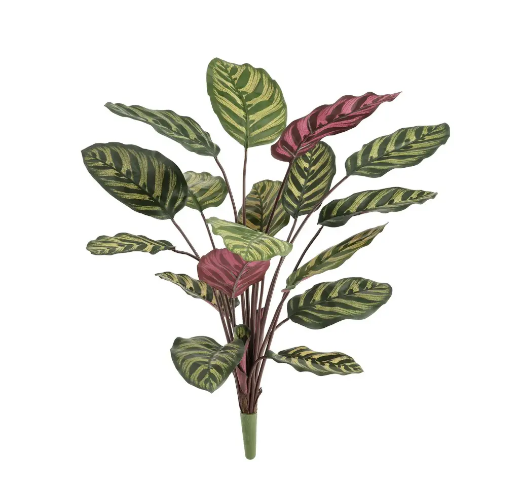 Red Calathea Makoyana kunstplant 60 cm - FR