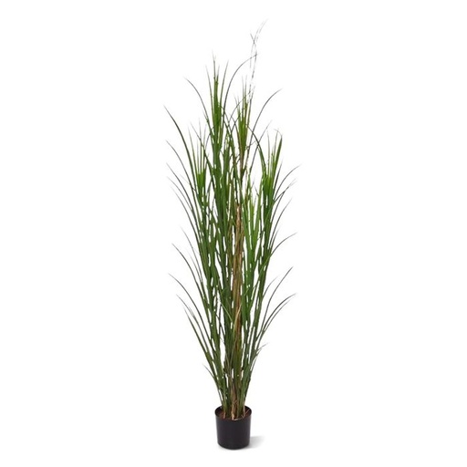 Kunst Rietgras plant deluxe 165cm - groen - UV bestendig