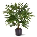Baby Fan Kunstpalm 45 cm