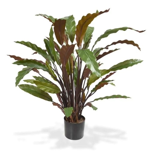 Calathea kunstplant 60cm - groen/rood